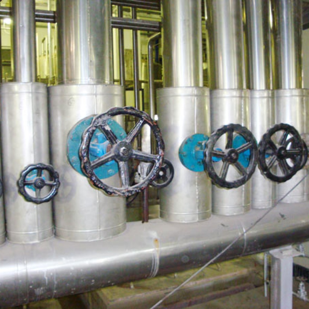 Blossom Breweries, Gujarat (2009-2010)